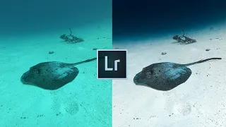 How To Edit Underwater Photos