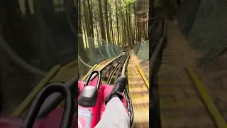 Zip world forest roller coaster (no brakes)