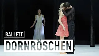 DORNRÖSCHEN | Ballett von Steffen Fuchs