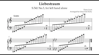 Liszt-Zichy: Liebestraum S.541 No.3 (for left hand alone) (McCarthy)