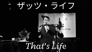That’s Life - Frank Sinatra - Cover Performance