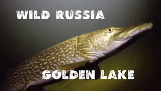 MOUNTAIN ALTAI. Golden lake Teletskoye. Wildlife of Siberia. Russian lakes. Film by Ivan Usanov.