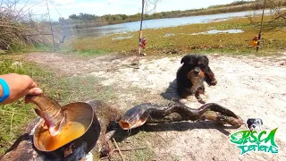 pesca de BAGRES y anguila en una LAGUNA ESPECTACULAR!🎣🔥😱