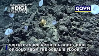 What is the mysterious gold blob a rover picked up in deep water?