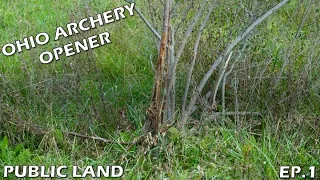 Ohio Public Land Archery Hunting EP. 1