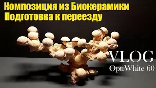 VLOG OptiWhite 60.  Композиция из биокерамики.  Подготовка к переезду