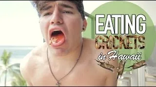 Eating Crickets in Hawaii | Jc Caylen