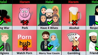 Halal vs Haram In Islam Religion