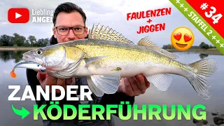 Köderführung zum Zanderangeln mit Gummifisch 🔥🎣👍🏼