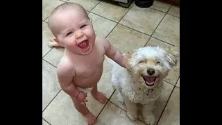 🐕 Double happiness! 😺 Videos of funny cats and dogs for a good mood! 😺