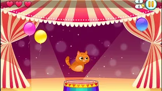 ✅Bubbu Jump #2 | Bubbu - My Virtual Pet Cat