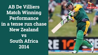 AB De Villiers Match Winning Performance in a tense run chase | New Zealand vs South Africa 2014 |
