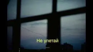 Елена Фролова - Не улетай ввысь  LYRICS