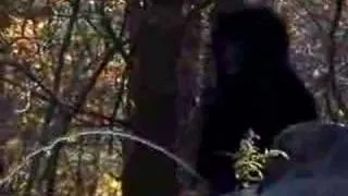 BIRDWATCHER'S BIGFOOT VIDEO - SASQUATCH CAUGHT ON TAPE