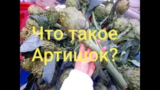 Что такое Артишок,как продаётся и с чем его едят? :) Enginarı nasıl yapıyorum?