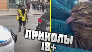 #ПРИКОЛЫ за Май 2019 | BEST COUB 2018 ▶ 9