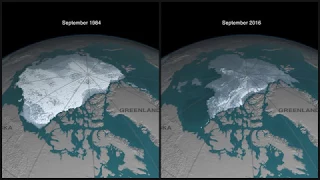 Disappearing Arctic sea ice