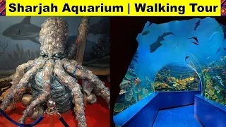 SHARJAH AQUARIUM WALKING TOUR | SHARJAH WALKING TOUR