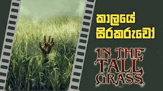 In The Tall Grass (2019) sinhala Movie Review and Ending Explained