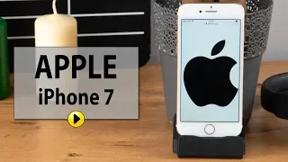 Smartfon APPLE iPhone 7 32GB Złoty