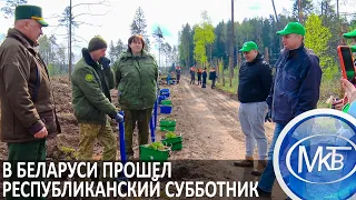 В Беларуси прошел республиканский субботник