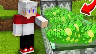 Я НАШЕЛ ДЕНЕЖНЫЙ КОНВЕЙЕР В МАЙНКРАФТ 100% Троллинг Ловушка Minecraft