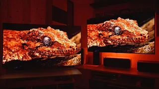 LG OLED C1 Детальный Обзор и Сравнение!