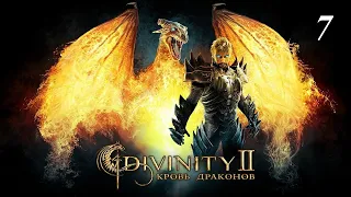 Divinity 2: Кровь драконов прохождение 🔥🔥🔥🔥 7 серия