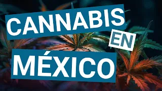 Cannabis Medicinal en México y en el Mundo