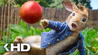 Rabbits vs. Thomas Explosive Fight Scene - Peter Rabbit (2018)