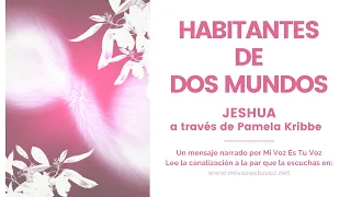 HABITANTES DE DOS MUNDOS | Jeshua a través de Pamela Kribbe