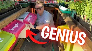 BEST use of your greenhouse (and my IKEA hack for it)