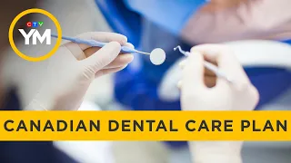 Dentists see first patients under public dental plan | Your Morning