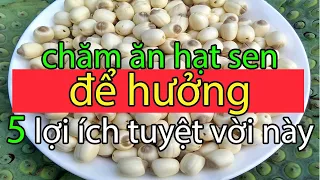 Không Chỉ Chữa Mất Ngủ, Chăm Ăn Hạt Sen Để Hưởng Thêm 5 Lợi Ích Tuyệt Vời Mà Không Phải Ai Cũng Biết