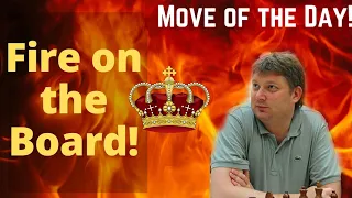 Fire On The Board | Gelfand vs Shirov (2007) | Shirov's Incredibly Beautiful Queen Sacrifice