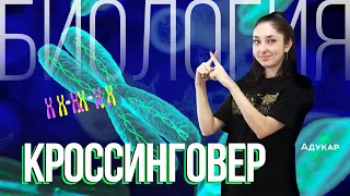 Кроссинговер (Основы наследственности и изменчивости) | Биология ЕГЭ, ЦТ