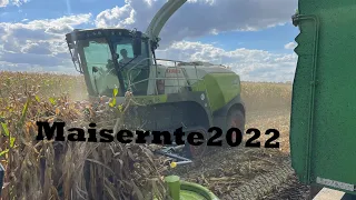 Maisernte 2022 mit Claas Jaguar 990 und Claas Jaguar 980