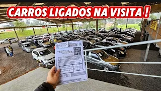 VOCÊ PRECISA CONHECER ESSE LEILÃO COM CARROS LIGADOS ! #brunonoleilao