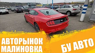 АВТОРЫНОК МАЛИНОВКА ЦЕНЫ (Большой обзор)