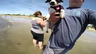 Longport Dog Beach 06/15/2014