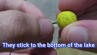 Difference Between Pop Ups, Boilies and Wafters