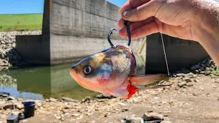 I COULD NOT Believe I Caught THIS in the SPILLWAY!!!