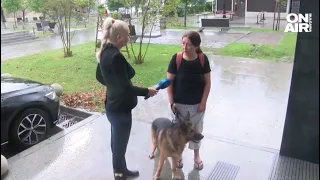 Съдия Москова и дъщеря ѝ били в автомобила си, водолази намериха телата им