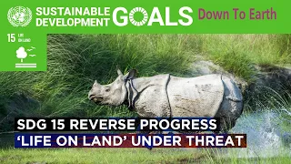 SDG 15 goals off track: 'Life on land' under threat