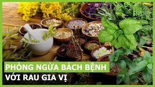 Phòng ngừa bách bệnh với rau gia vị | VTC16