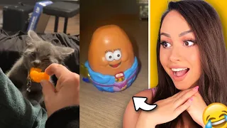 Memes I Watch Before The TikTok Ban 🤣