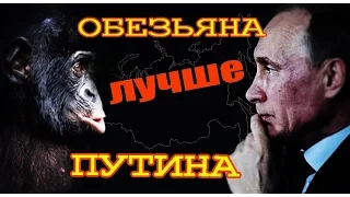 "Обезьяна лучше Путина" О.В. Двуреченский