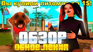 ОБЗОР САМОГО ГЛОБАЛЬНОГО ОБНОВЛЕНИЯ *ДЕНЬ РОЖДЕНИЯ* - ARIZONA RP! (гта самп аризона рп)