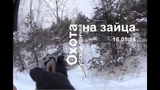 Охота на зайца 16 01 18