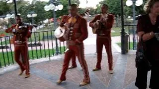 Mariachi proposal